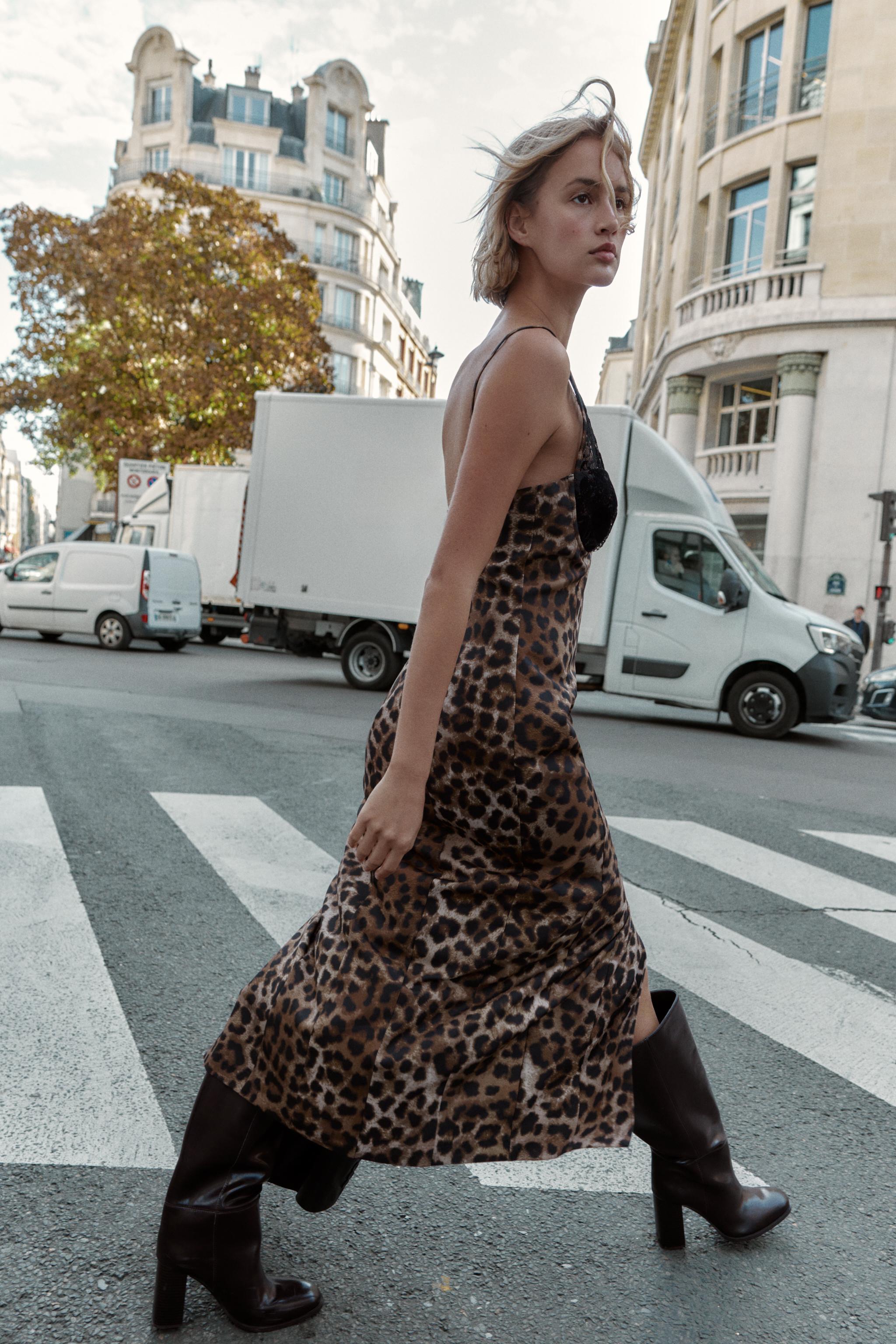 ANIMAL PRINT LACE MIDI DRESS
